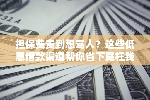 北京担保费贵到想骂人？这些低息借款渠道帮你省下冤枉钱