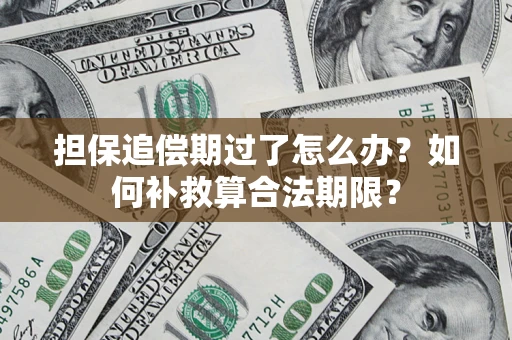 北京担保追偿期过了怎么办？如何补救算合法期限？