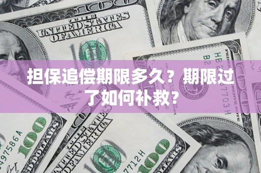 北京担保追偿期限多久？期限过了如何补救？