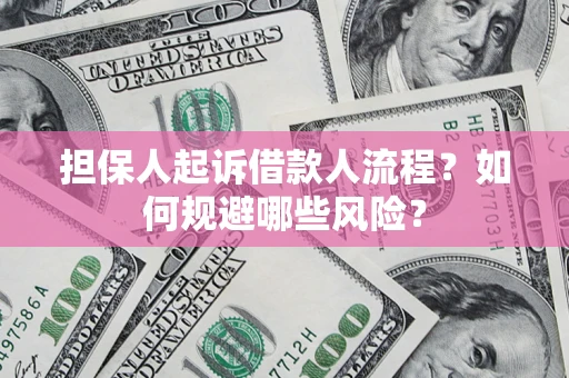 北京担保人起诉借款人流程？如何规避哪些风险？