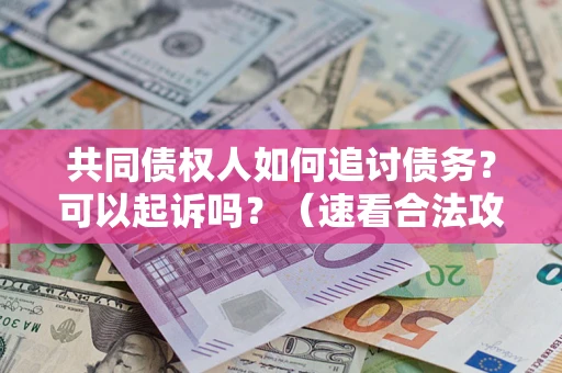 北京共同债权人如何追讨债务？可以起诉吗？（速看合法攻略）