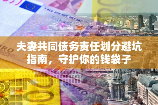 北京夫妻共同债务责任划分避坑指南，守护你的钱袋子